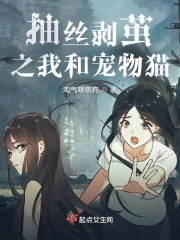 抽丝剥茧之我和宠物猫